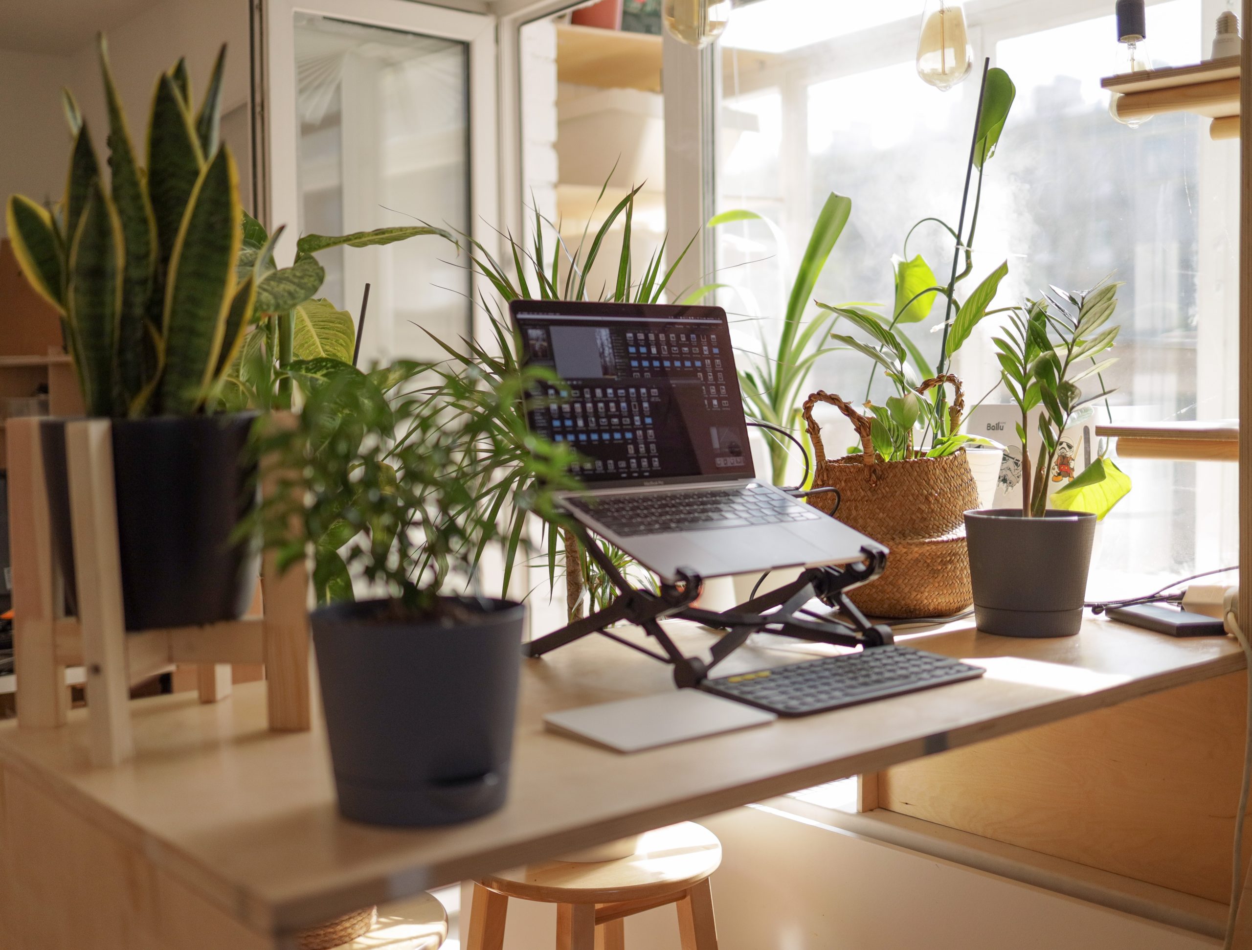 vadim-kaipov-_6kI0qhmxc4-unsplash Bureau télétravail avec des plantes